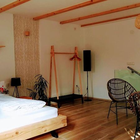 Apartmany Cechovni Моравска-Тршебова Номер фото