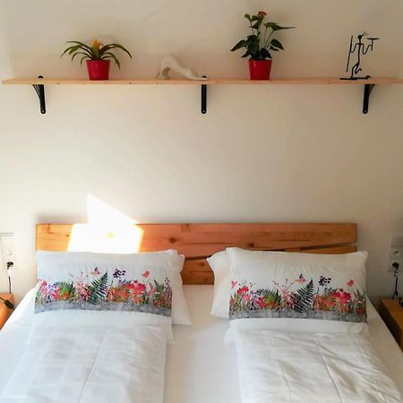 Apartmany Cechovni Моравска-Тршебова Номер фото